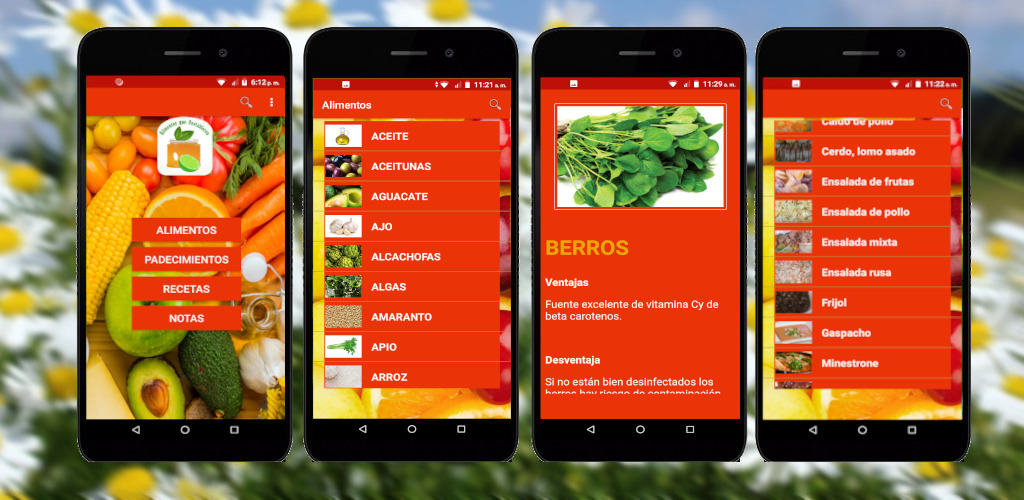 Alimentos que Restablecen